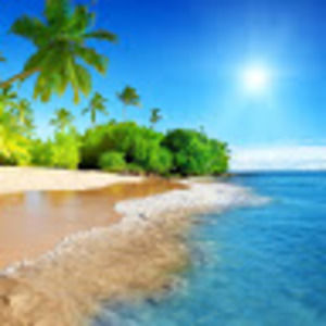 Meet your Posher, Whitney